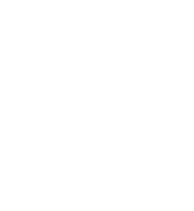 vector